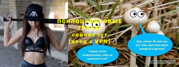 spice Сафоново