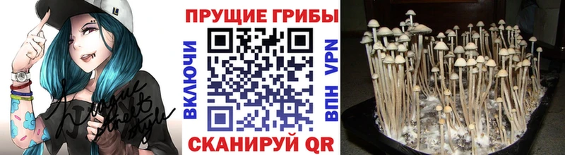 наркошоп  Кола  Псилоцибиновые грибы ЛСД 